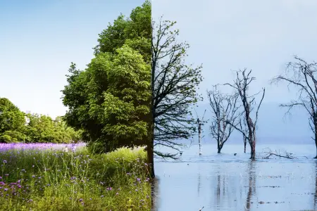 2025-ci ilin ən qorxunc proqnozu: Bu ölkə təhlükədədir