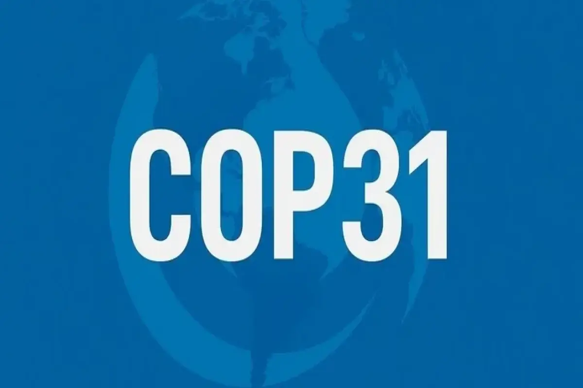 COP31 ilə bağlı mühüm qərar Azərbaycana həvalə olundu
