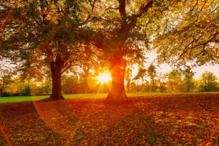 Noyabrda belə hava görülməmişdi: Kəskin dəyişiklik olacaq