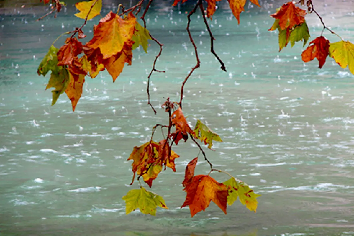 Sabah hava necə olacaq? - Proqnoz 