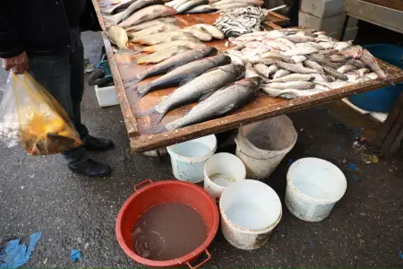 “Vasmoy” bazarında antisanitar vəziyyət – Şok Foto və Video