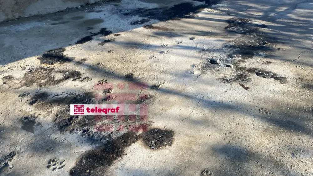 “Lake Hotel”də dörd nəfəri cərəyan necə vurdu? - Hadisə yerindən fotolar