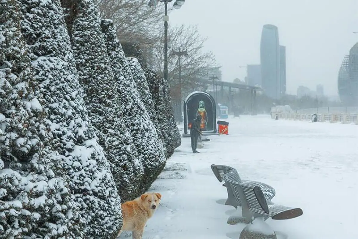 Bakıda güclü qar gözlənilir? - hazırlıqlar başladı