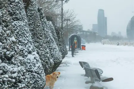 Bakıda güclü qar gözlənilir? - hazırlıqlar başladı