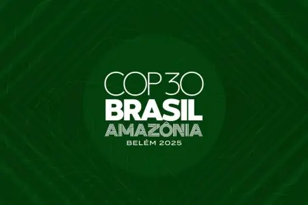 COP30-da Azərbaycana Paris Sazişi üzrə dövlətlər arasında danışıqlar aparmaq mandatı verildi