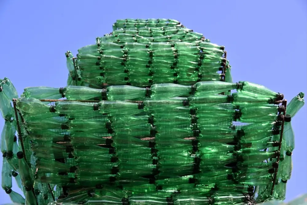 Belə ağac görməmisiniz! Ginnesin Rekordlar Kitabına düşdü - Foto 