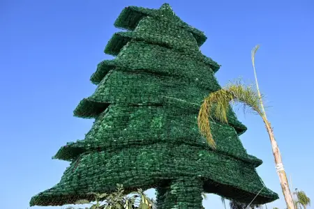 Belə ağac görməmisiniz! Ginnesin Rekordlar Kitabına düşdü - Foto 