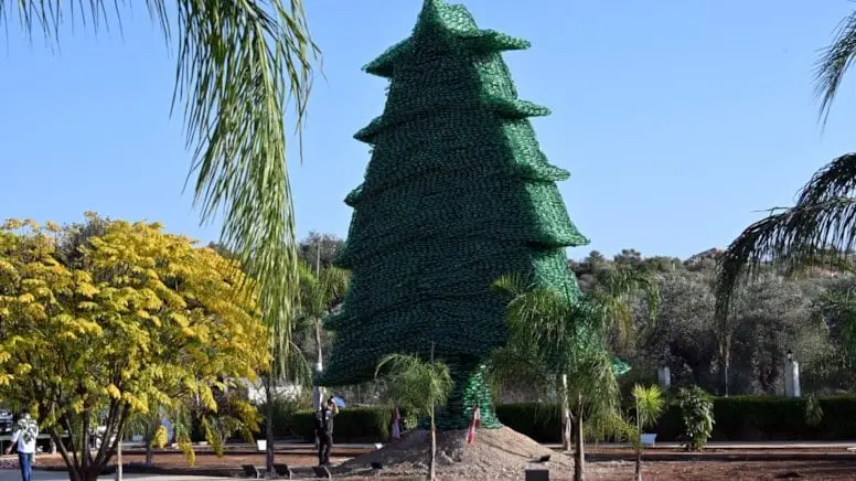 Belə ağac görməmisiniz! Ginnesin Rekordlar Kitabına düşdü - Foto 