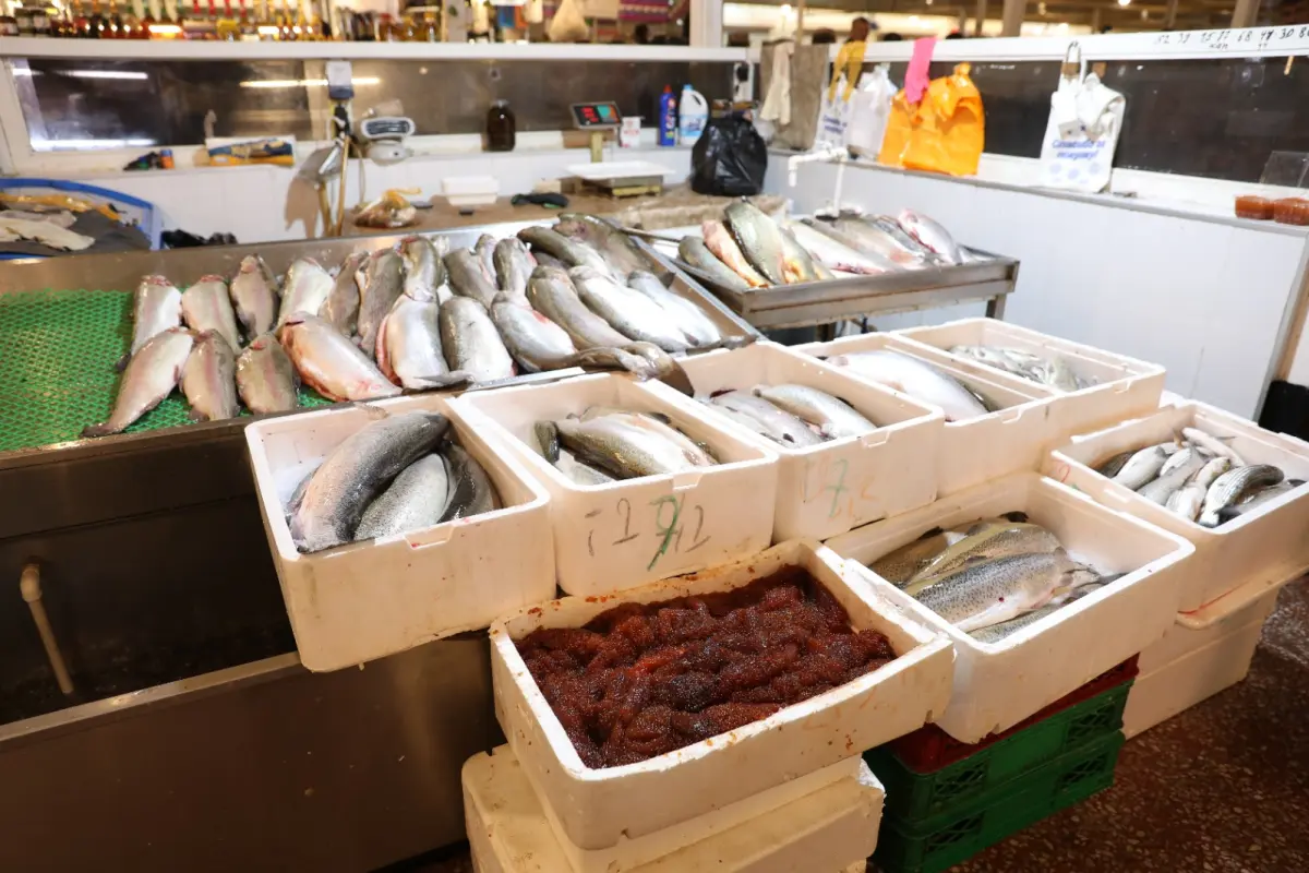 "Vosmoy bazarı"nda quş kəsimi yeri bağlandı - Fotolar