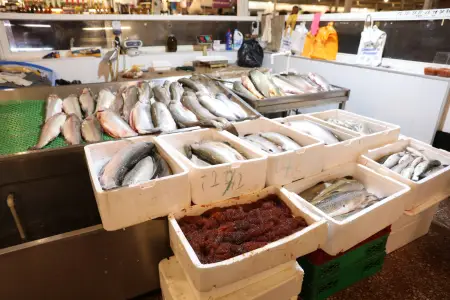 "Vosmoy bazarı"nda quş kəsimi yeri bağlandı - Fotolar