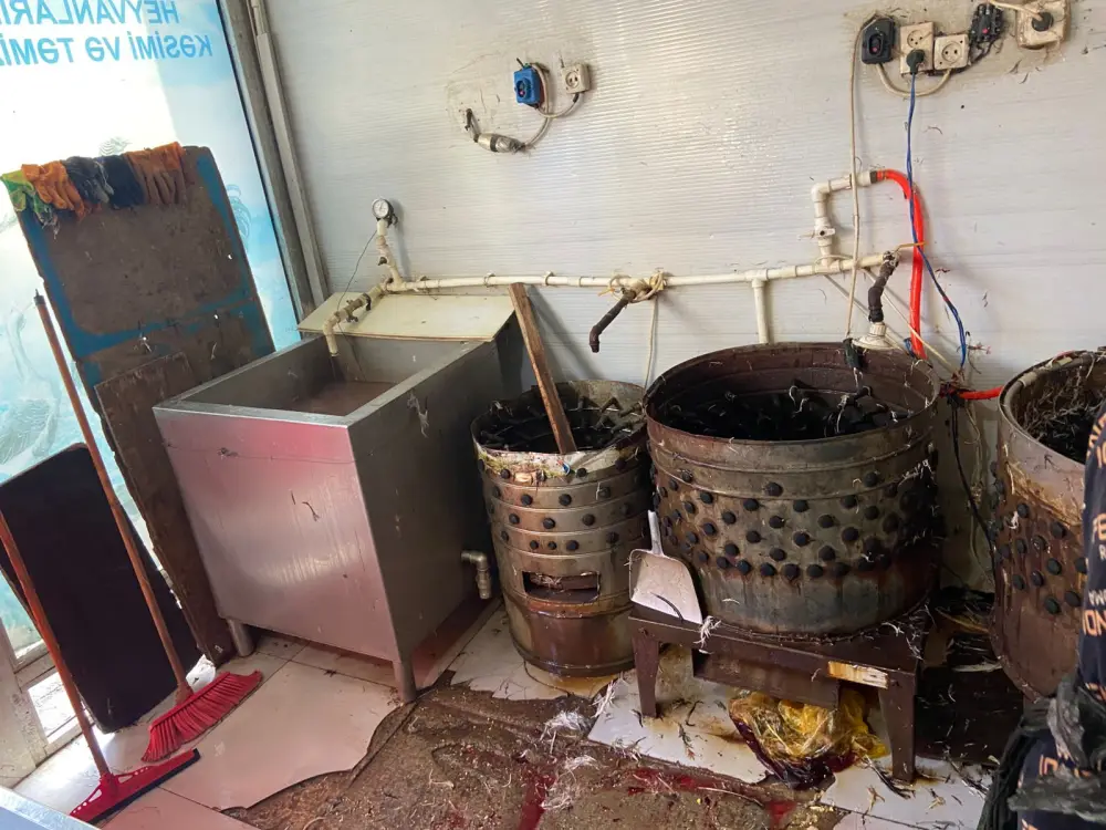 "Vosmoy bazarı"nda quş kəsimi yeri bağlandı - Fotolar