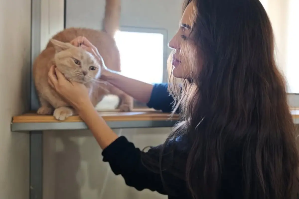 Leyla Əliyeva IDEA Heyvanlara Qayğı Mərkəzində – Fotolar