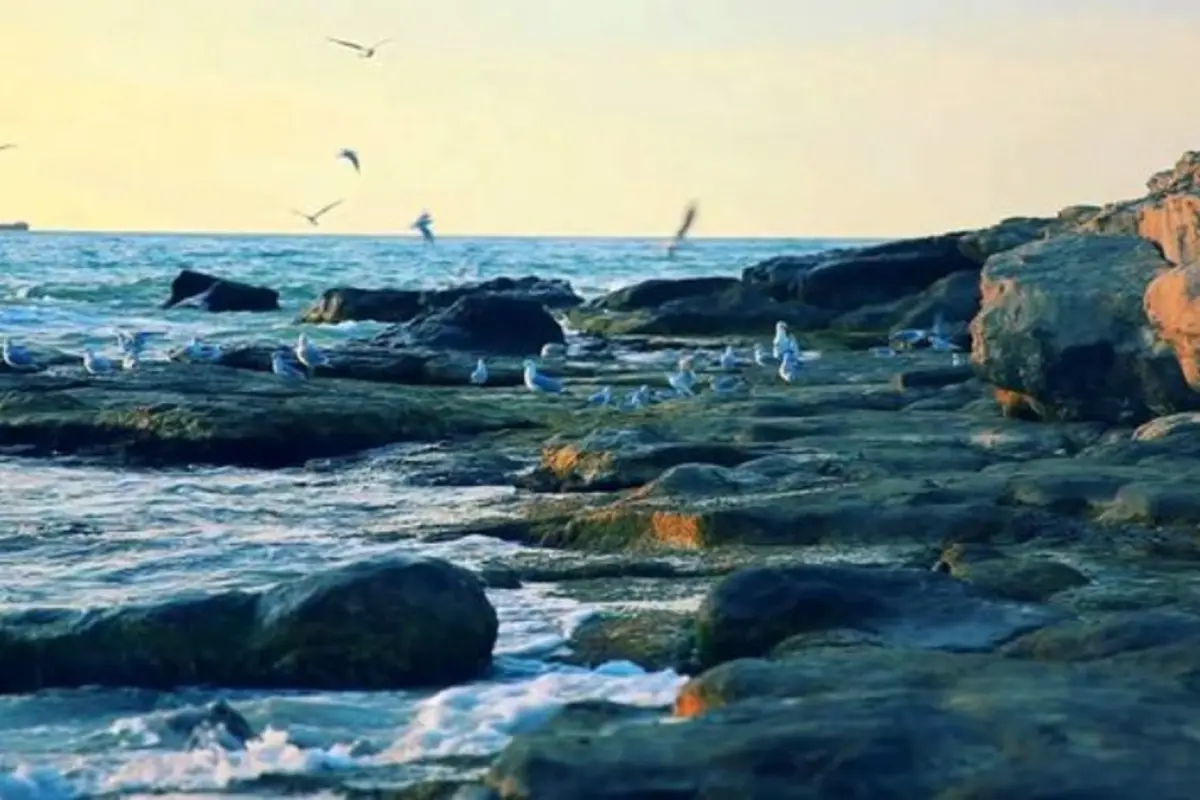 Alimdən xəbərdarlıq: Xəzər dənizi ikiyə bölünəcək