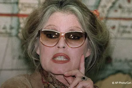 Bricit Bardo xəstəxanaya yerləşdirildi