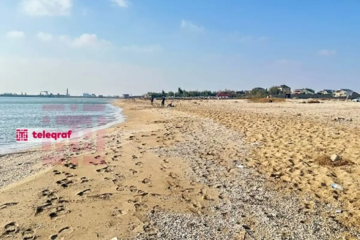 Üçgünlük uşağını dənizə atan qadının keçmiş əri cinayətin detallarını açıqladı 