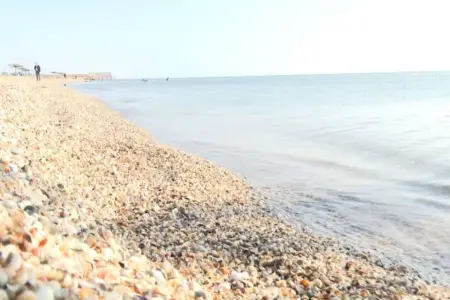 Körpəsini dənizə atan anadan yeni xəbər var - Hər kəs təəccübləndi- Video 