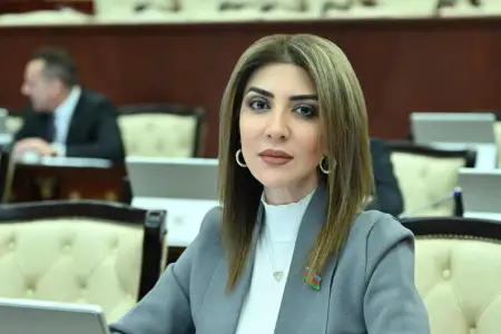 Günay Ağamalı məlum görüntülərdən danışdı 