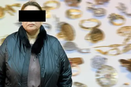 Dayə çalışdığı evdən 60 min oğurladı - Video