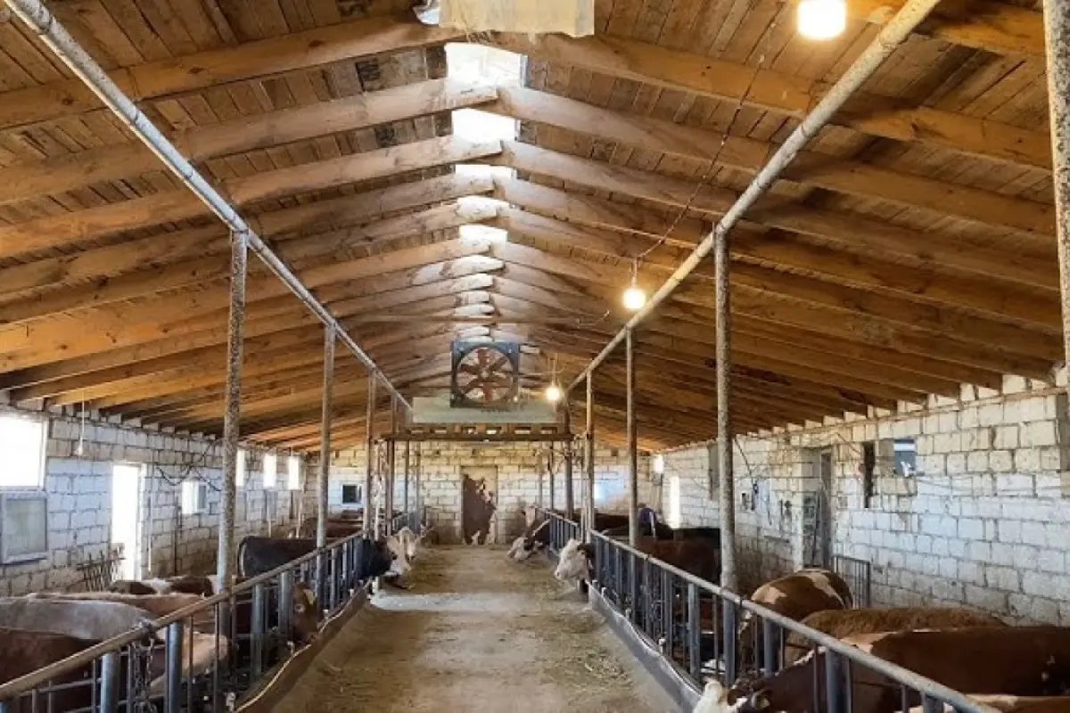 32 yaşlı kişi tövlədə ölü tapıldı