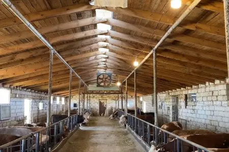 32 yaşlı kişi tövlədə ölü tapıldı