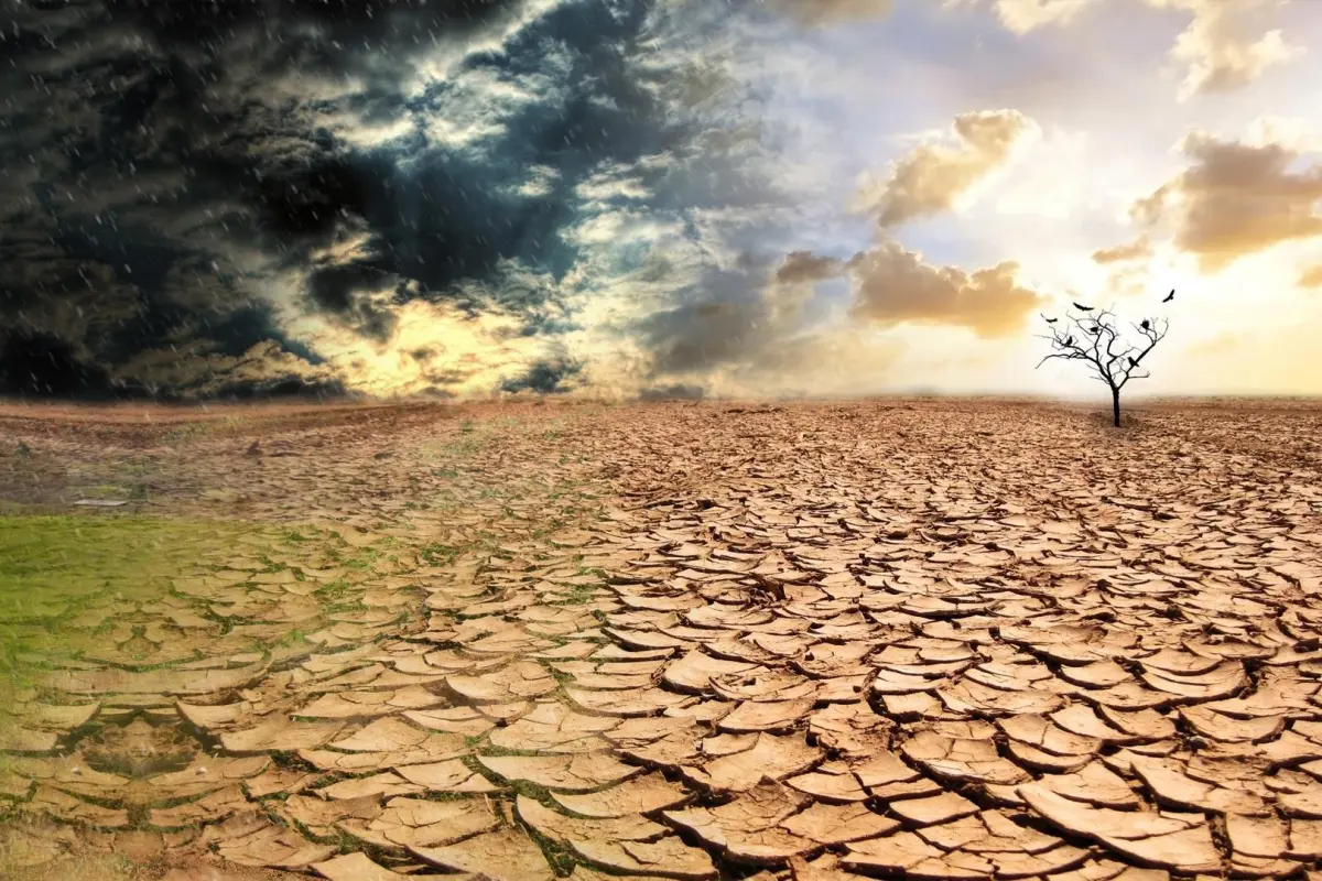 Azərbaycanda yeni sığorta növü yaradılır: Bu şəxslər istifadə edə biləcəklər