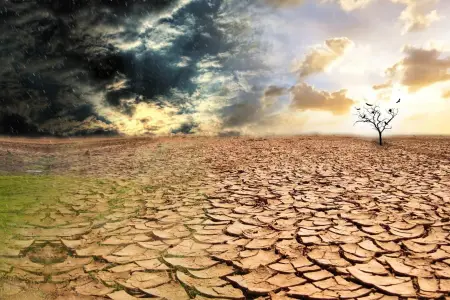 Azərbaycanda yeni sığorta növü yaradılır: Bu şəxslər istifadə edə biləcəklər