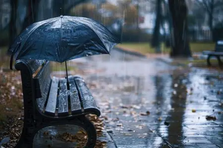 Bəzi yerlərdə yağış yağır, duman müşahidə olunur