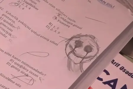 13 yaşlı qızın müəmmalı ölümü: ailəsi telefonunda gördüklərindən şok oldu – Video