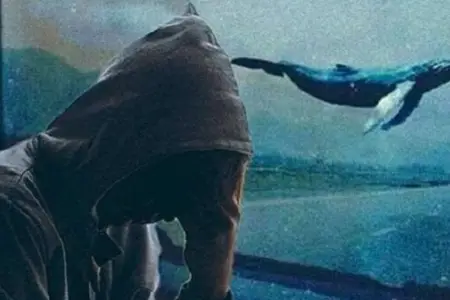 “Mavi balina” ilə bağlı rəsmi açıqlama: Valideynlərə ciddi xəbərdarlıq edildi