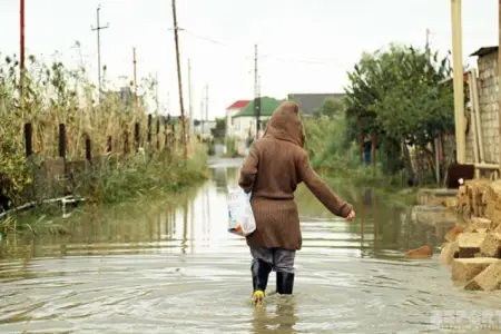 ADSEA subasma problemlərinə aydınlıq gətirdi