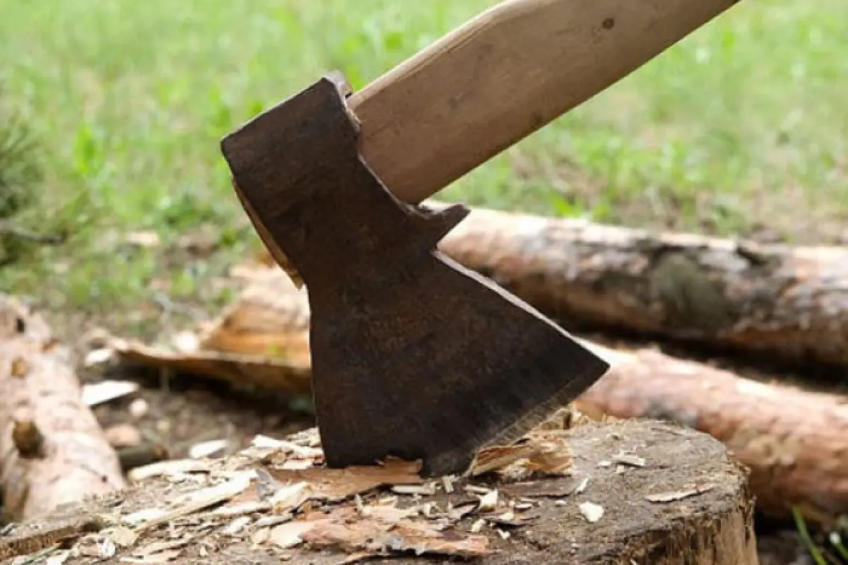 Təbiətə 36 mindən çox ziyan vurdu