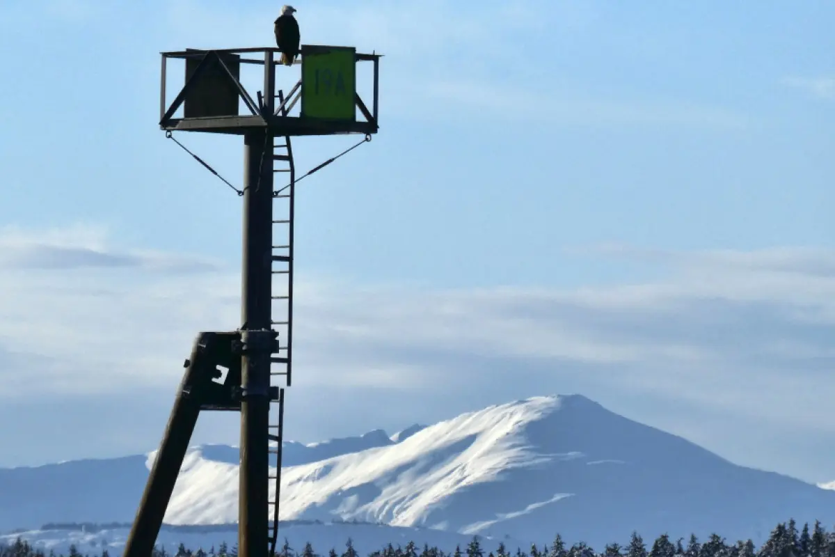 Alyaskada güclü zəlzələ oldu