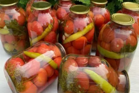 Bərdədə turşudan zəhərlənənlərin son durumu - Yeniləndi