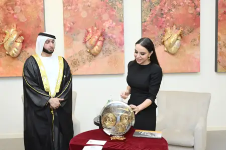 Leyla Əliyeva Həmdan Bin Rəşid Əl Maktum Fondunun ali sədri ilə görüşdü 