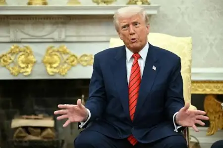 Tramp: “Sevimli sözüm tarifdir”