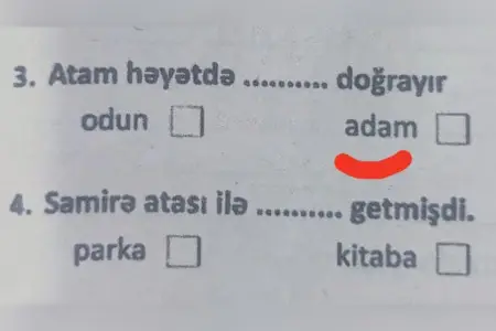 Bu sual həqiqətən məktəblilərə verilib? – Rəsmi açıqlama