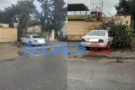 Bakıda ağac avtomobilin üstünə aşdı 