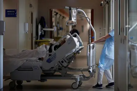 "Honkonq" Rusiyada can aldı: virus sürətlə yayılır