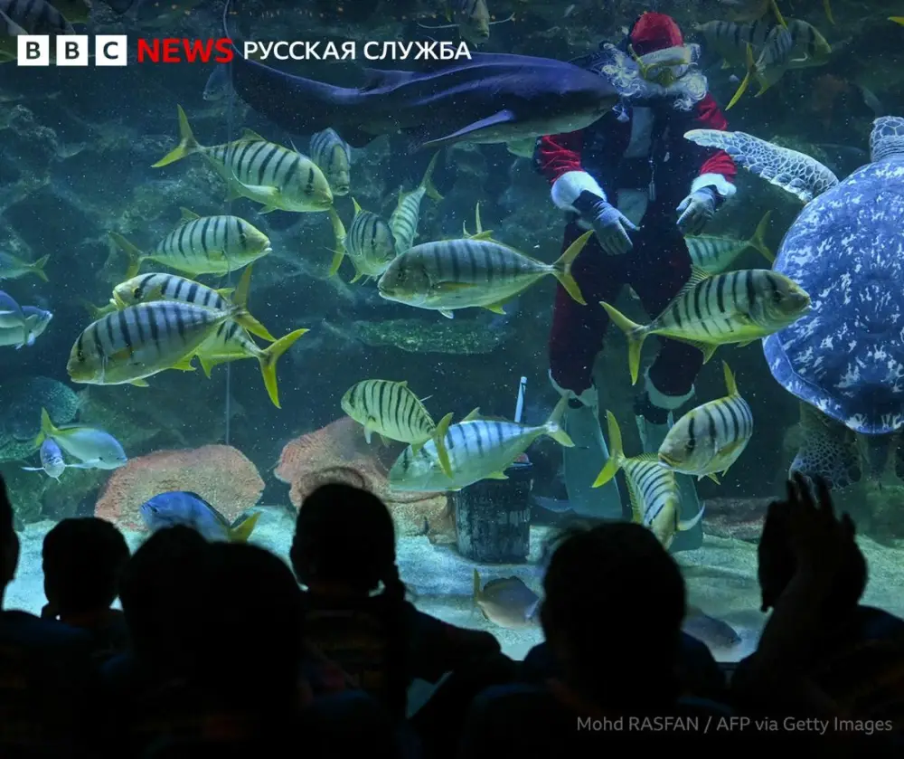 "BBC" bu FOTOnu "günün ən yaxşısı" seçdi