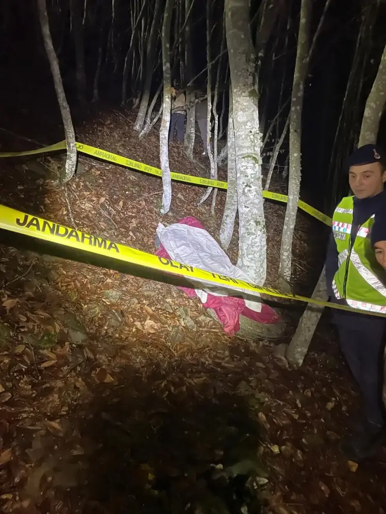 Traktor dərəyə aşdı: Sürücü öldü, həyat yoldaşı yaralandı