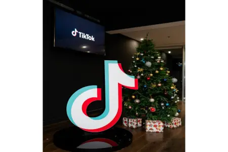 TikTok Azərbaycanda 2025-ci ilin yekunlarını təqdim edib - FOTO