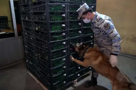 Sərhəddə şok əməliyyat: “Kərəviz və kahı”  adı altında böyük həcmli gizli yük 