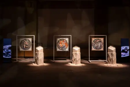 “Nadir fauna növləri” adlı yeni nəsil sikkə və xalça kolleksiyaları təqdim edilib