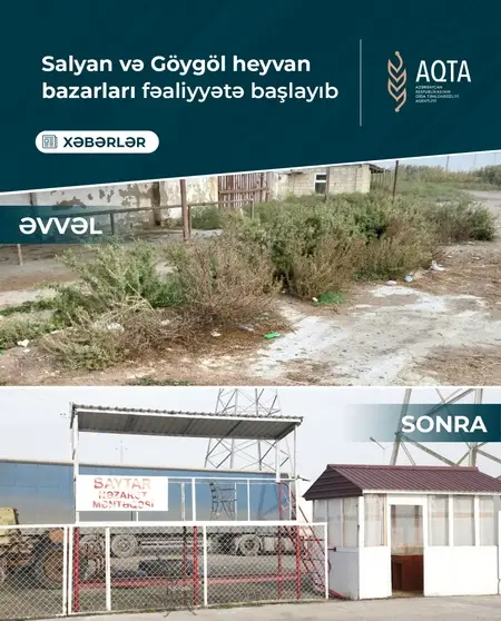 Salyan və Göygöl heyvan bazarları fəaliyyətə başladı