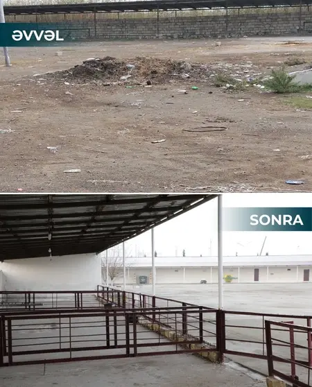 Salyan və Göygöl heyvan bazarları fəaliyyətə başladı