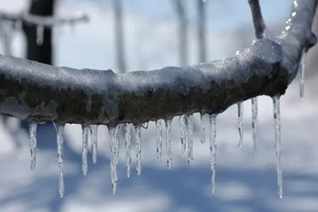 Sabah 15 dərəcə şaxta olacaq