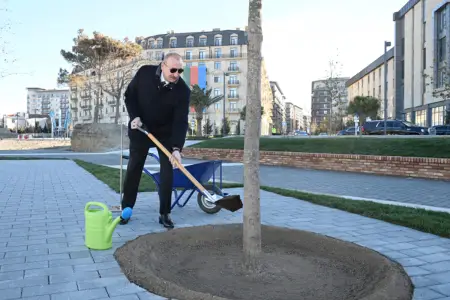 Parkdakı ilk palıdı Prezident əkdi - Video