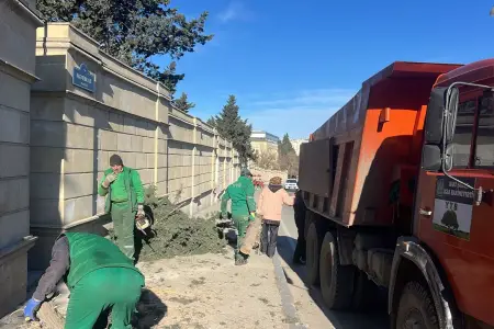Bakıda güclü külək 8 ağacı sındırdı - Foto