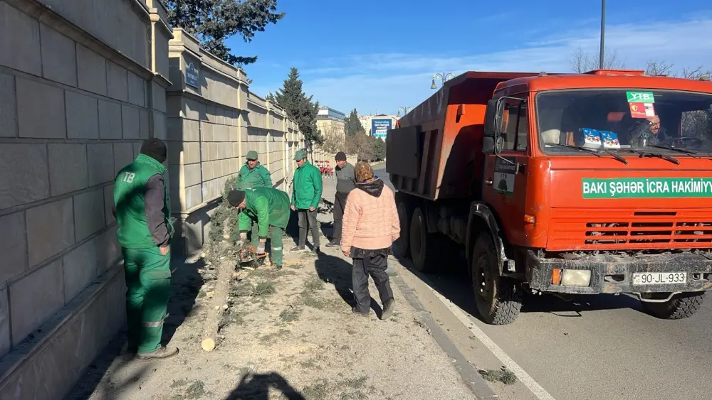 Bakıda güclü külək 8 ağacı sındırdı - Foto