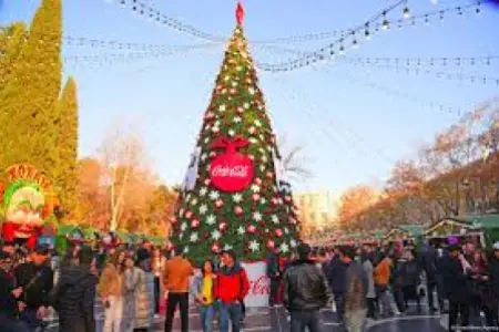 FHN qüvvələri gücləndirilmiş rejimdə xidmətdədir - Video